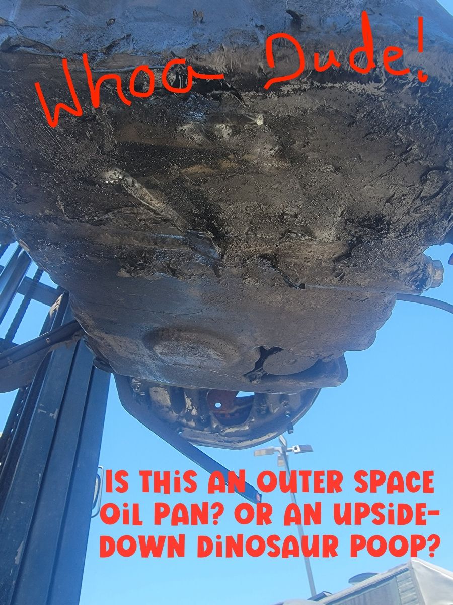 1st Engine arrived to mechanic & was HORRIBLE!!!! 2nd Engine ordered a month ago, NOW Parts STUCK IN CUSTOMS in Germany! There is fruit anyway...